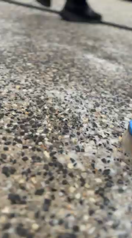 Trident technician pressure washing a concrete driveway in Melbourne